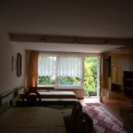 Apartmán Przy Lesie Nowe Exteriér fotografie